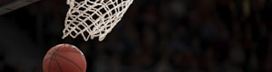 美国职业篮球联赛NBA标志