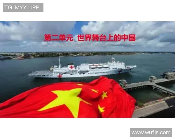 张宁在国际舞台上的崛起与成就探讨以及对未来发展的展望